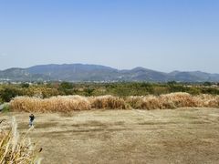 -良渚古城遗址公园