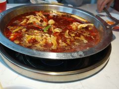 -蜀滋香鲜鱼美蛙火锅(339店)