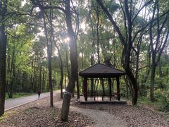-青龙山国家森林公园