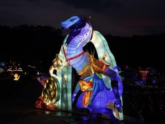 -东南花都花博园