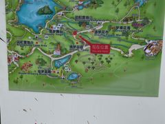 -深圳仙湖植物园