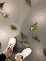 点击看大图 -七巧国萌宠乐园(龙湖天街店)