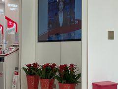 -北京银行(朝阳支行)