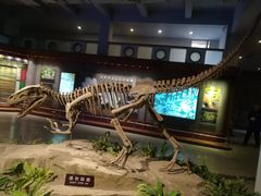 -自贡恐龙博物馆