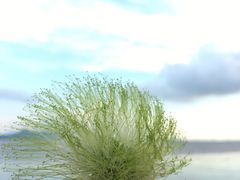 -深圳湾公园(南山区)