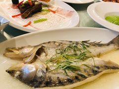 -同济大酒店(绿宝广场店)