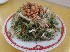 凉拌苦菊-青岛锅贴(四流中路店)