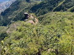 -磬锤峰森林公园