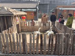 -茯茶镇