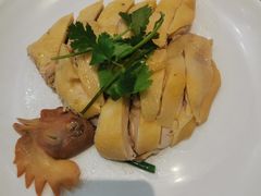 -新兴·金羊座·粤菜点心(乐峰店)