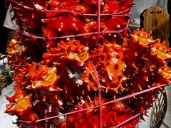 -曲水兰亭(北京四惠店)