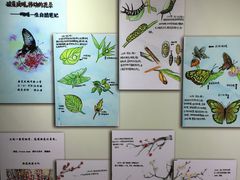-上海昆虫博物馆