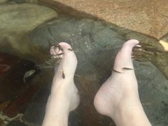 -宁海森林温泉