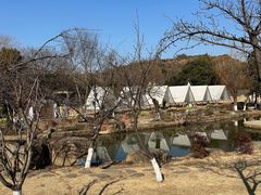 -白马涧龙池景区