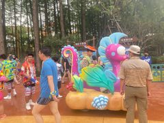 -武汉玛雅海滩水公园