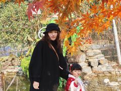 -HERRE·FARM 赫尔露营农场·团建聚会包场