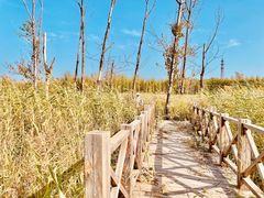 -野鸭湖国家湿地公园