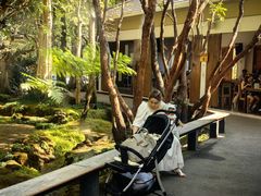 -Chom Cafe and Restaurant