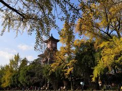 -四川大学(华西校区)