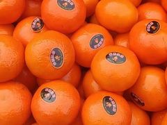 -堤口果品批发市场