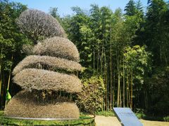 -苏州河梦清园环保主题公园