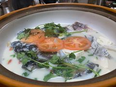 -全乐鱼馆·淳牌有机鱼直营店