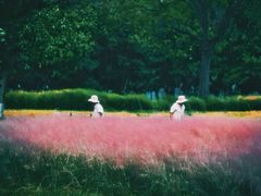 -汉长安城未央宫国家考古遗址公园