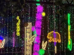-深圳野生动物园