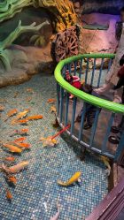 -酷嗒动物文化乐园(cutezoo西溪乐天城店)