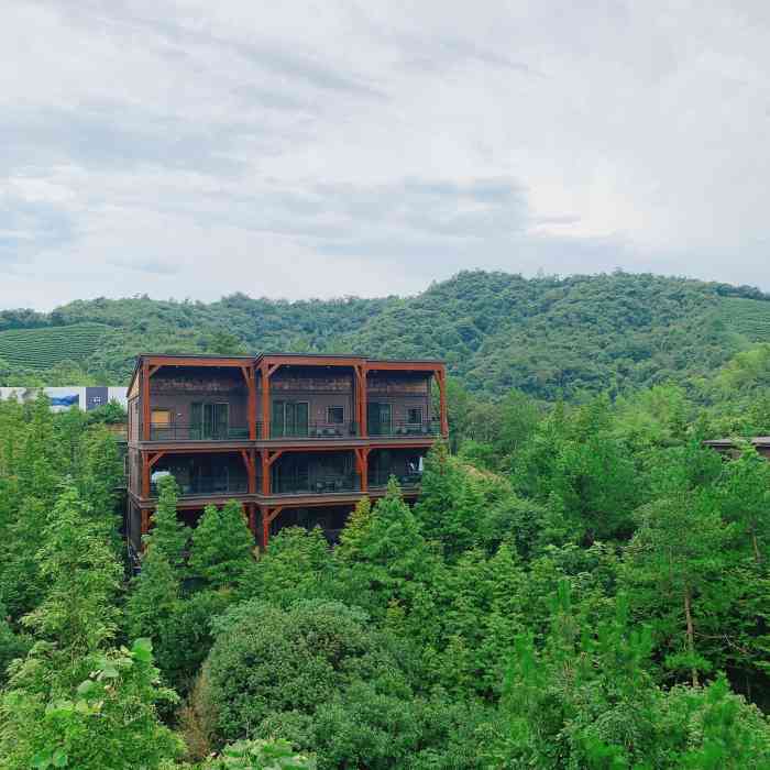 蓝城·郡安里-"in 湖州德清莫干山郡安里今天是家庭日.