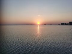 -碧海金沙