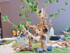 -千禧人家(高新家园店)