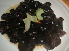 -九毛九西北菜(大东海店)