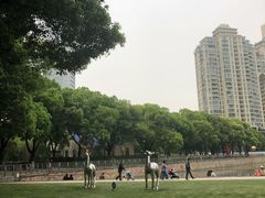-西北湖绿化广场