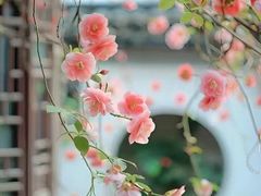 -颐和园