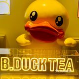 可可爱爱的B. Duck tea