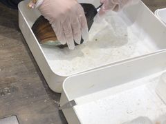 -十八字金·银饰·拼豆·开蚌DIY(魏公芳华里店)