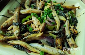 Mountain Stream Fish Fry