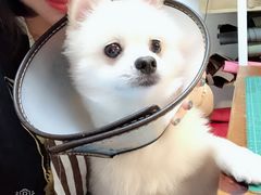 -零几体验diy皮具工作室(振业城店)