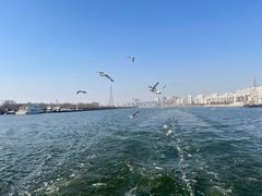-海河外滩公园