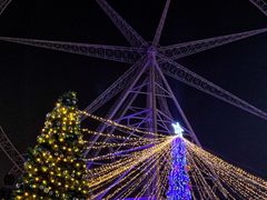 -锦江乐园舞狸花花游园会(夜场专享)