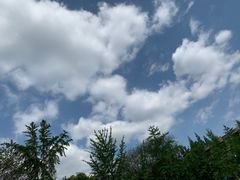 -四川大学(望江校区)