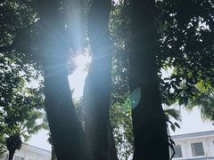 -厦门悦华酒店