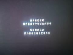 -万达影城(IMAX激光铁西万达广场店)