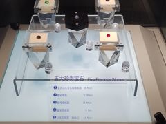 -安徽省地质博物馆