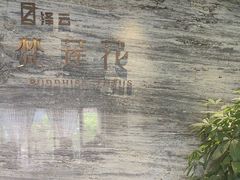 -泽云梵莲花足浴 按摩 SPA(滨湖店)
