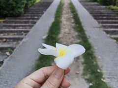 -乌山风景区