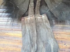 -长兴岛郊野公园农场食堂