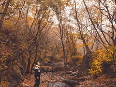 -云岫谷游猎自然风景区
