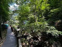 -藏龙百瀑风景区